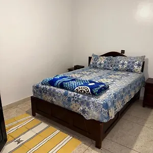 Dinosaur Anza Surf House بيت شباب